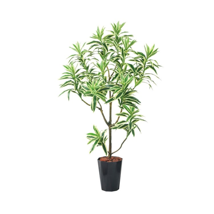 115cmドラセナインディ(ポットカラー:ブラック)｜GLPS-1536BKL アーティフィシャルグリーン 人工観葉植物 鉢付きグリーン