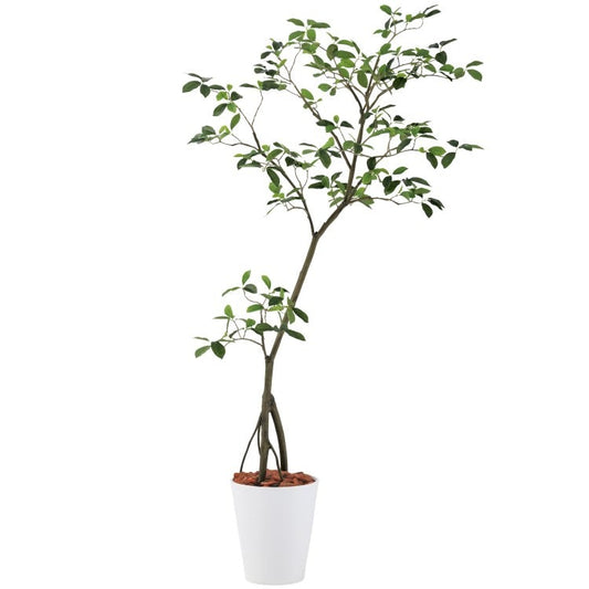 ガジュマル1.5m｜GLPT-214 アーティフィシャルグリーン 人工観葉植物 鉢付きグリーン