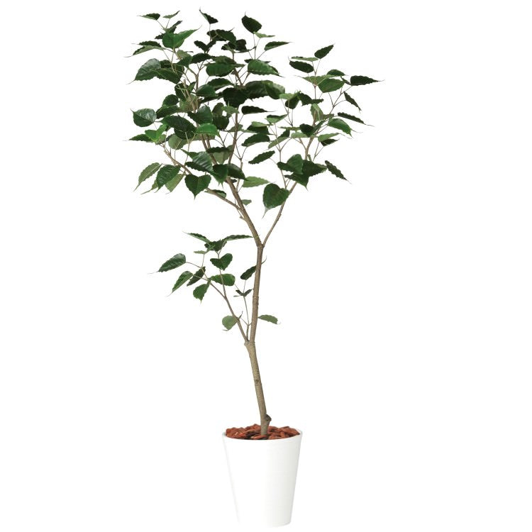インドボダイジュ1.8m｜GLPT-216 アーティフィシャルグリーン 人工観葉植物 鉢付きグリーン