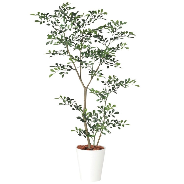 トネリコ1.8m｜GLPT-217 アーティフィシャルグリーン 人工観葉植物 鉢付きグリーン