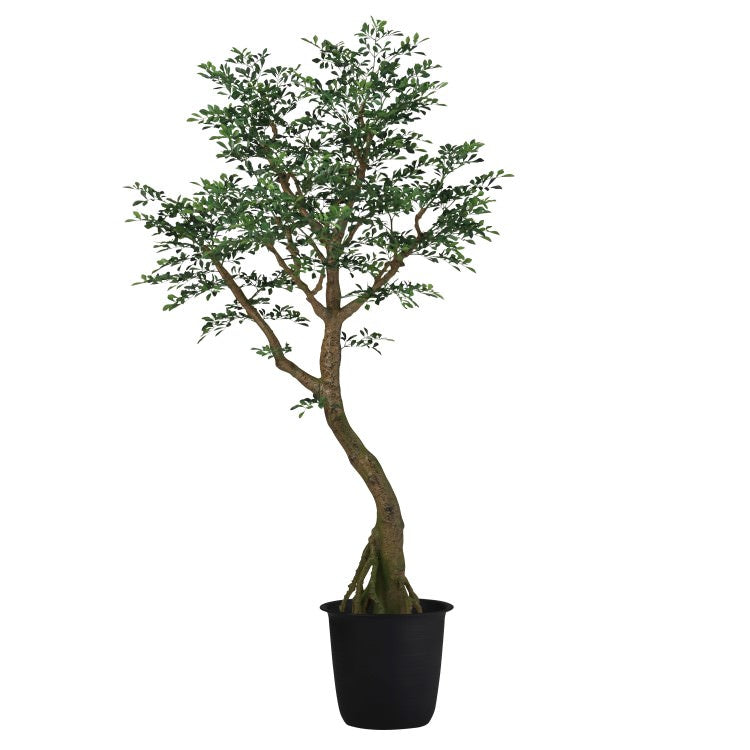 トネリココアッド2.3m｜GLPT-226 アーティフィシャルグリーン 人工観葉植物 鉢付きグリーン