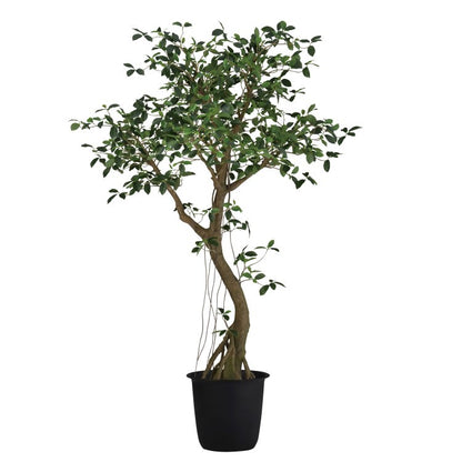 ガジュマルコアッド2.3m｜GLPT-229 アーティフィシャルグリーン 人工観葉植物 鉢付きグリーン