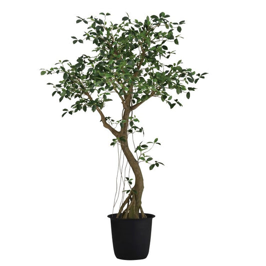 ガジュマルコアッド2.3m｜GLPT-229 アーティフィシャルグリーン 人工観葉植物 鉢付きグリーン