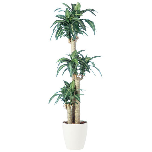マッサンゲアナ W70×H170cm｜TK91261 アーティフィシャルグリーン 人工観葉植物 人工樹木 鉢付きグリーン