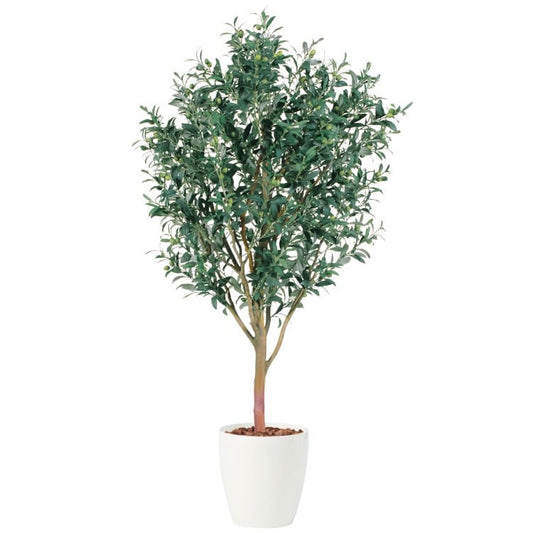ライプオリーブ W80×H150cm｜TK91394 アーティフィシャルグリーン 人工観葉植物 人工樹木 鉢付きグリーン