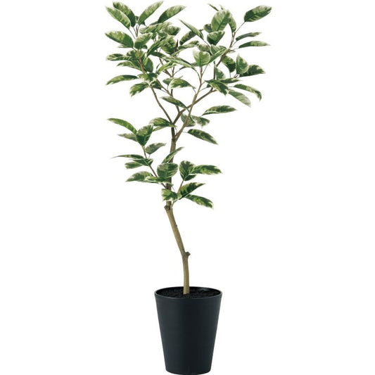 デコラトリカラー FST W70×H150cm｜TK91606 アーティフィシャルグリーン 人工観葉植物 人工樹木 鉢付きグリーン