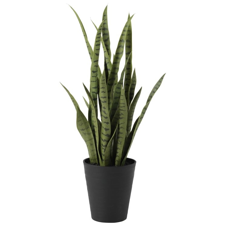 サンスベリア グリーン W40×H80cm｜TK91621 アーティフィシャルグリーン 人工観葉植物 人工樹木 鉢付きグリーン