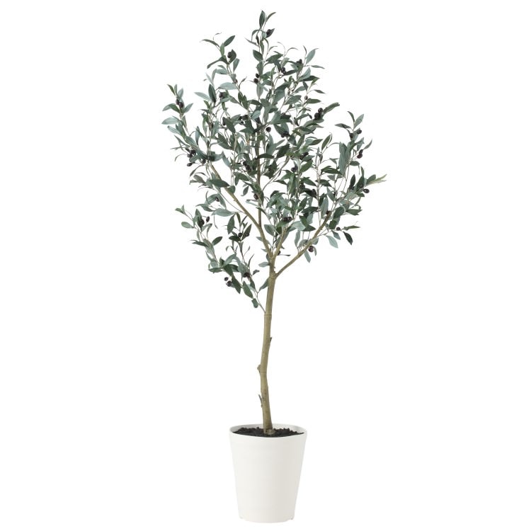 ブラックオリーブ FST W60×H150cm｜TK91623 アーティフィシャルグリーン 人工観葉植物 人工樹木 鉢付きグリーン