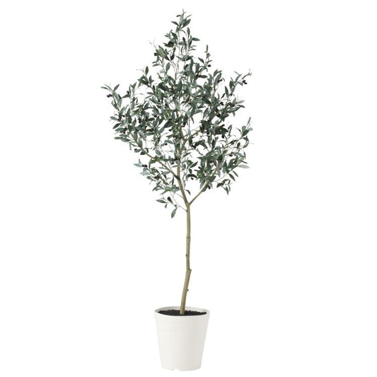 ブラックオリーブ FST W80×H180cm｜TK91626 アーティフィシャルグリーン 人工観葉植物 人工樹木 鉢付きグリーン