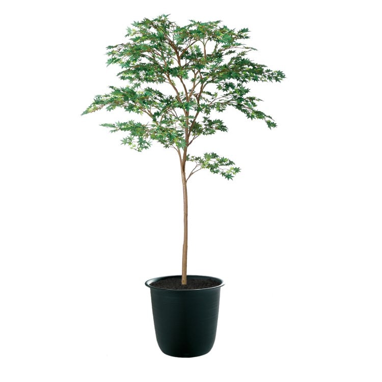 ヤマモミジ GREEN FST W110×H180cm｜TK91759 アーティフィシャルグリーン 人工観葉植物 人工樹木 鉢付きグリーン