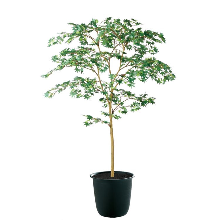 ヤマモミジ GREEN FST W100×H150cm｜TK91760 アーティフィシャルグリーン 人工観葉植物 人工樹木 鉢付きグリーン