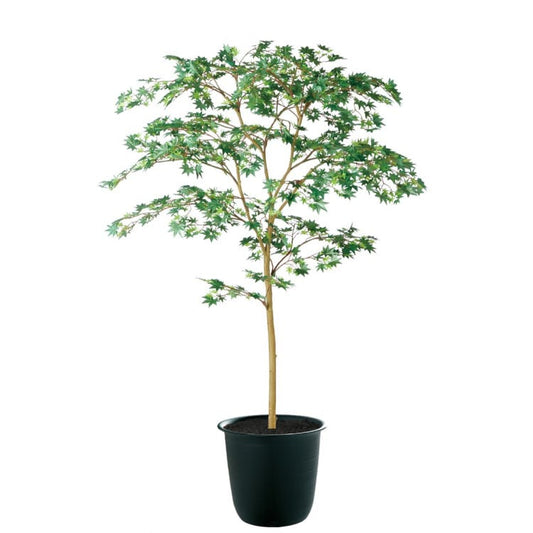 ヤマモミジ GREEN FST W100×H150cm｜TK91760 アーティフィシャルグリーン 人工観葉植物 人工樹木 鉢付きグリーン