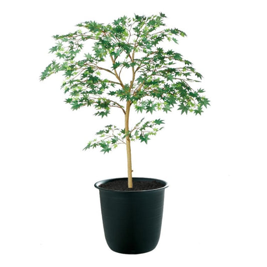 ヤマモミジ GREEN FST W70×H100cm｜TK91761 アーティフィシャルグリーン 人工観葉植物 人工樹木 鉢付きグリーン