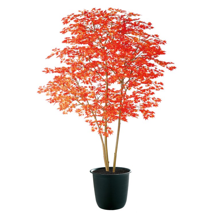 ヤマモミジ株立 RED FST W140×H200cm｜TK91771 アーティフィシャルグリーン 人工観葉植物 人工樹木 鉢付きグリーン