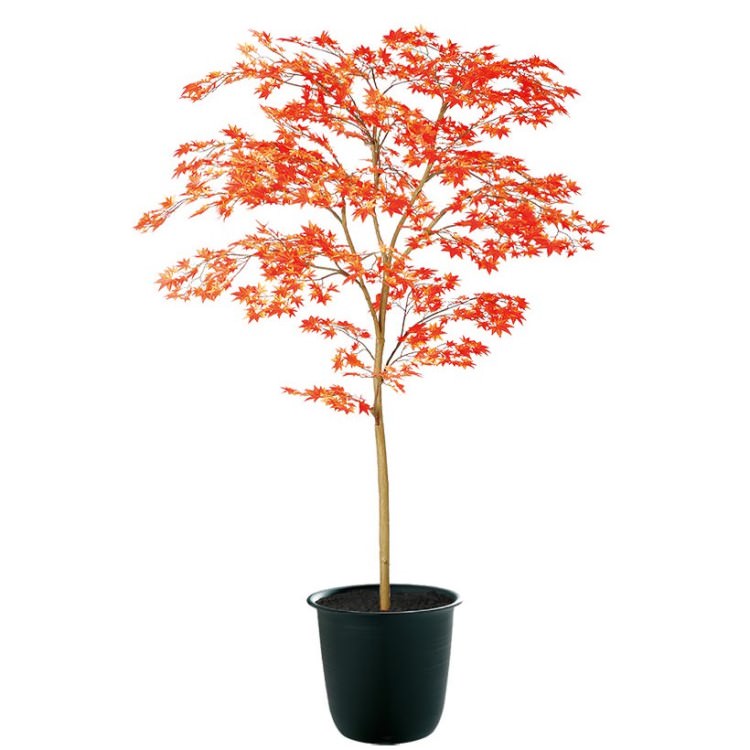 ヤマモミジ株立 RED FST W100×H150cm｜TK91773 アーティフィシャルグリーン 人工観葉植物 人工樹木 鉢付きグリーン