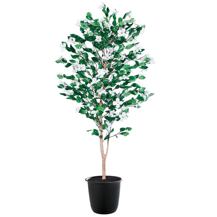 ハナミズキ W80×H180cm｜TK91781 アーティフィシャルグリーン 人工観葉植物 人工樹木 鉢付きグリーン [次回入荷時期未定]