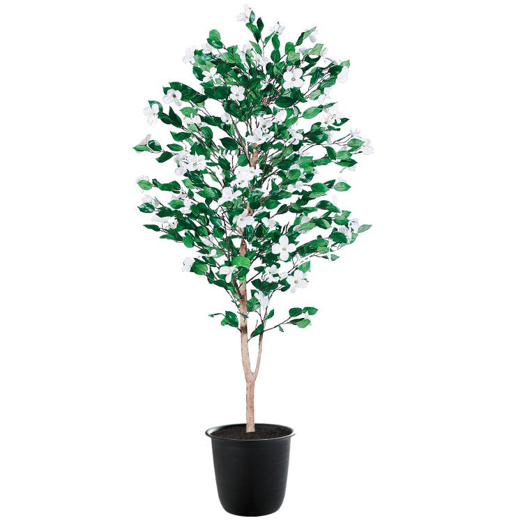 ハナミズキ W70×H150cm｜TK91782 アーティフィシャルグリーン 人工観葉植物 人工樹木 鉢付きグリーン [次回入荷時期未定]