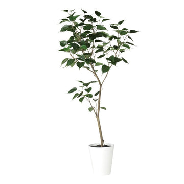 インドボダイジュ FST W80×H180cm｜TK91855 アーティフィシャルグリーン 人工観葉植物 人工樹木 鉢付きグリーン