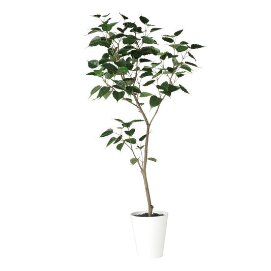 インドボダイジュ FST W80×H180cm｜TK91855 アーティフィシャルグリーン 人工観葉植物 人工樹木 鉢付きグリーン