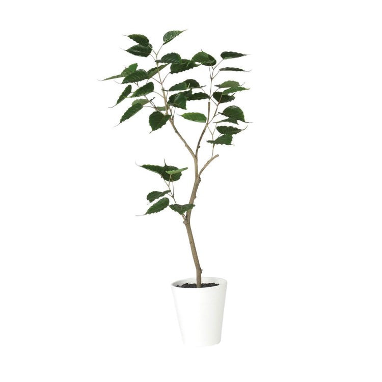 インドボダイジュ FST W50×H120cm｜TK91861 アーティフィシャルグリーン 人工観葉植物 人工樹木 鉢付きグリーン