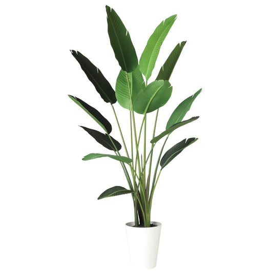 オーガスタ W90×H190cm｜TK91873 アーティフィシャルグリーン 人工観葉植物 人工樹木 鉢付きグリーン