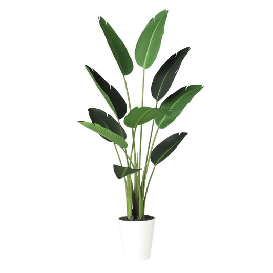 オーガスタ W70×H150cm｜TK91876 アーティフィシャルグリーン 人工観葉植物 人工樹木 鉢付きグリーン