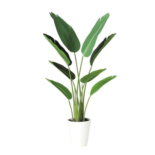 オーガスタ W50×H120cm｜TK91879 アーティフィシャルグリーン 人工観葉植物 人工樹木 鉢付きグリーン