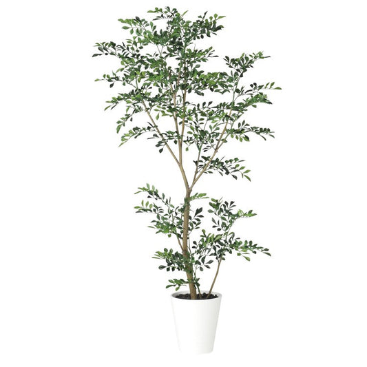 トネリコ FST W70×H150cm｜TK91887 アーティフィシャルグリーン 人工観葉植物 人工樹木 鉢付きグリーン