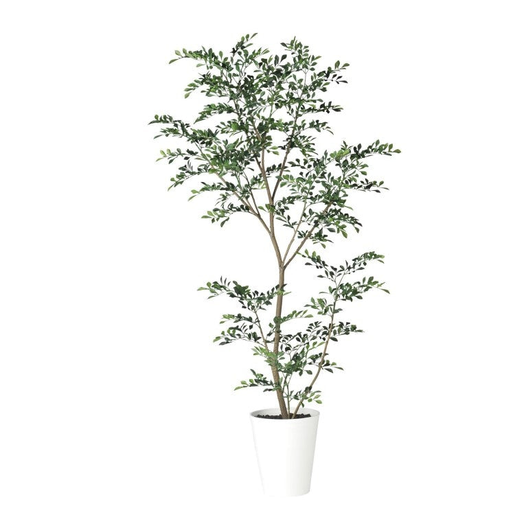 トネリコ FST W80×H180cm｜TK91888 アーティフィシャルグリーン 人工観葉植物 人工樹木 鉢付きグリーン