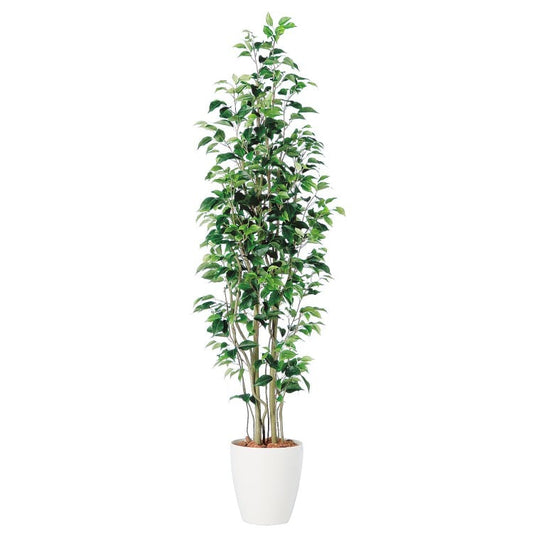 ベンジャミン スリム FST W50×H180cm｜TK98647 アーティフィシャルグリーン 人工観葉植物 人工樹木 鉢付きグリーン