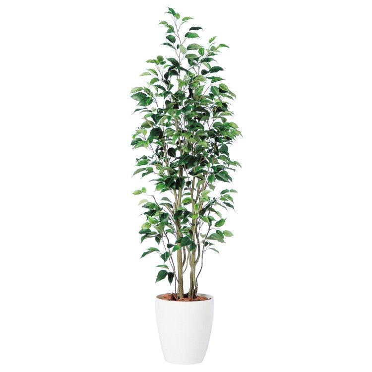 ベンジャミン スリム FST W50×H150cm｜TK98649 アーティフィシャルグリーン 人工観葉植物 人工樹木 鉢付きグリーン