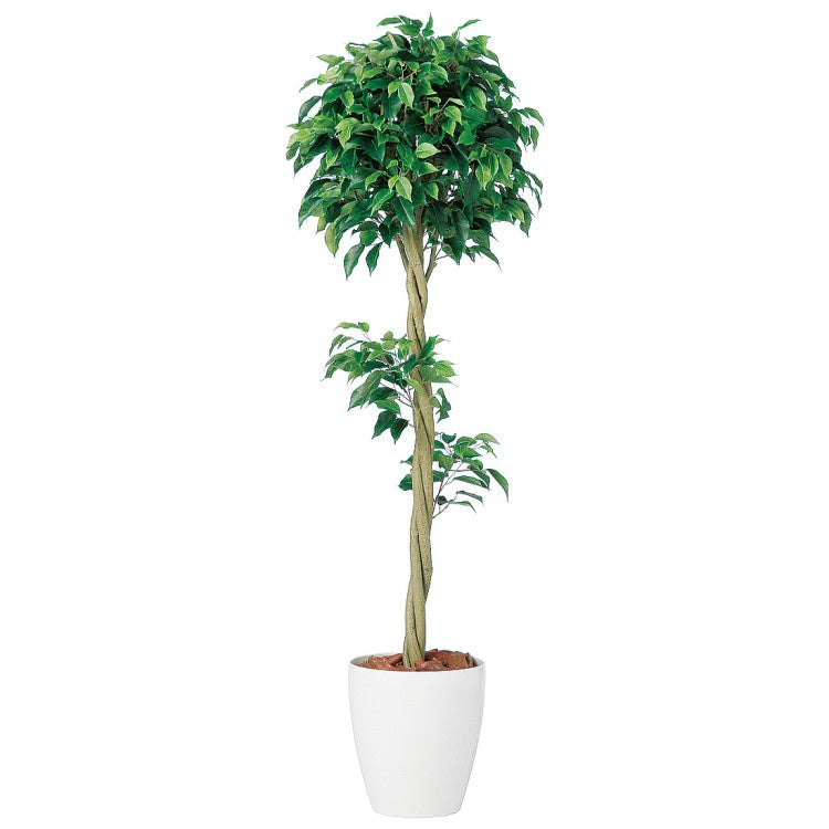 ベンジャミン トピアリー FST W50×H150cm｜TK98659 アーティフィシャルグリーン 人工観葉植物 人工樹木 鉢付きグリーン