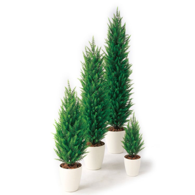 ゴールドクレストGREEN W30×H110cm｜TK98850 アーティフィシャルグリーン 人工観葉植物 人工樹木 鉢付きグリーン