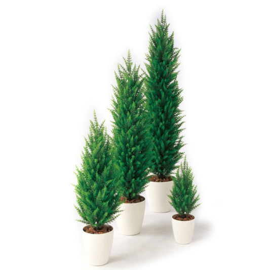 ゴールドクレストGREEN W30×H110cm｜TK98850 アーティフィシャルグリーン 人工観葉植物 人工樹木 鉢付きグリーン