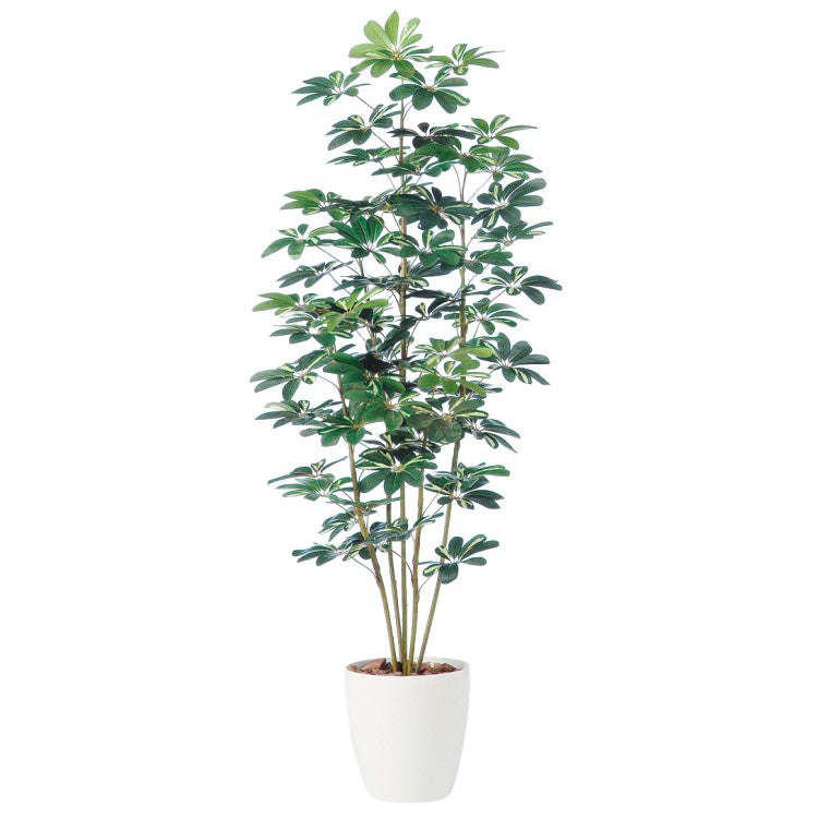 シェフレラ W85×H180cm｜TK98889 アーティフィシャルグリーン 人工観葉植物 人工樹木 鉢付きグリーン