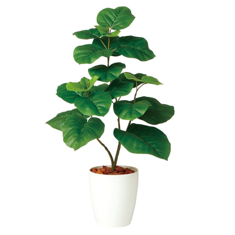 ウンベラータ W50×H80cm｜TK98923 アーティフィシャルグリーン 人工観葉植物 人工樹木 鉢付きグリーン