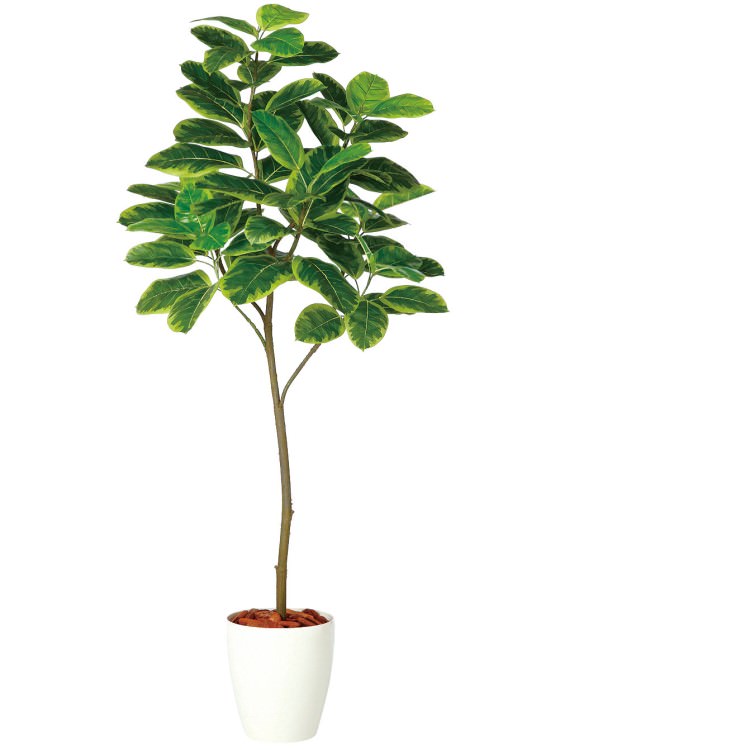 アルテシマ FST W70×H180cm｜TK98929 アーティフィシャルグリーン 人工観葉植物 人工樹木 鉢付きグリーン