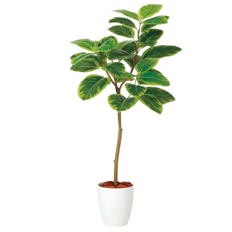 アルテシマ FST W60×H120cm｜TK98935 アーティフィシャルグリーン 人工観葉植物 人工樹木 鉢付きグリーン