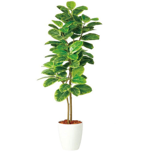 アルテシマ株立 FST W70×H150cm｜TK98942 アーティフィシャルグリーン 人工観葉植物 人工樹木 鉢付きグリーン