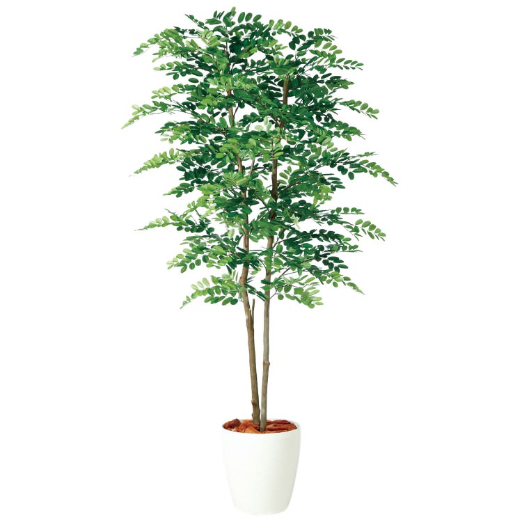 アカシアデュアル W80×H180cm｜TK98977 アーティフィシャルグリーン 人工観葉植物 人工樹木 鉢付きグリーン