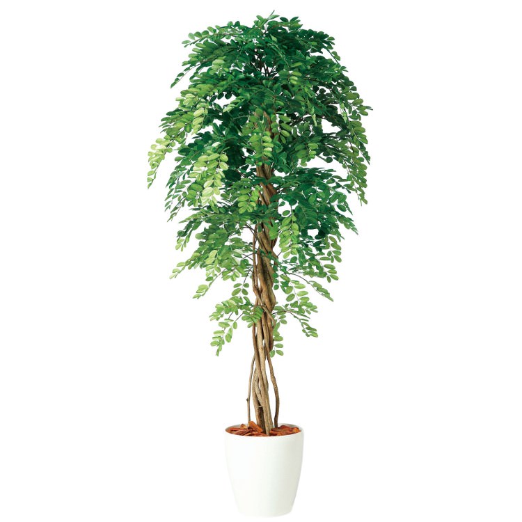 アカシアリアナ W90×H180cm｜TK98983 アーティフィシャルグリーン 人工観葉植物 人工樹木 鉢付きグリーン
