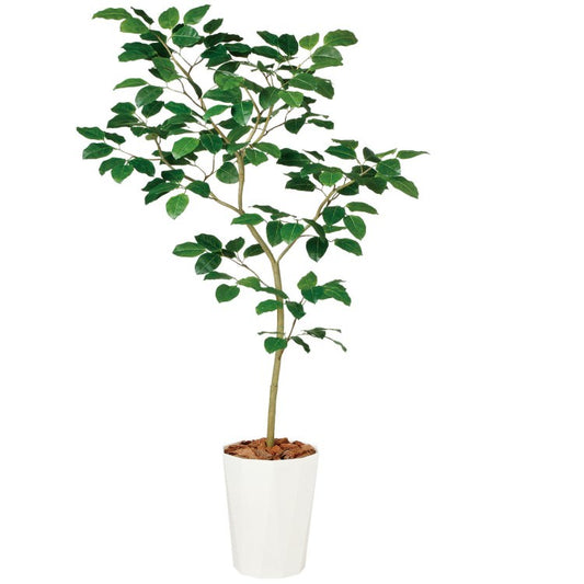 ベンガルボダイジュ FST W110×H180cm｜TK99114 アーティフィシャルグリーン 人工観葉植物 人工樹木 鉢付きグリーン