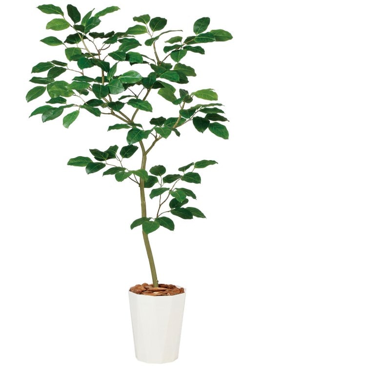 ベンガルボダイジュ FST W80×H150cm｜TK99116 アーティフィシャルグリーン 人工観葉植物 人工樹木 鉢付きグリーン