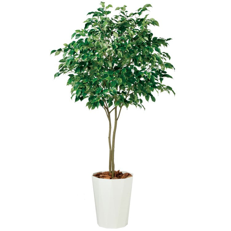 ベンジャミン ワイド FST W110×H200cm｜TK99120 アーティフィシャルグリーン 人工観葉植物 人工樹木 鉢付きグリーン