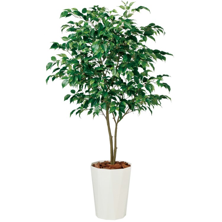 ベンジャミン ワイド FST W90×H150cm｜TK99122 アーティフィシャルグリーン 人工観葉植物 人工樹木 鉢付きグリーン