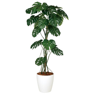 モンステラバイン W80×H180cm｜TK99124 アーティフィシャルグリーン 人工観葉植物 人工樹木 鉢付きグリーン