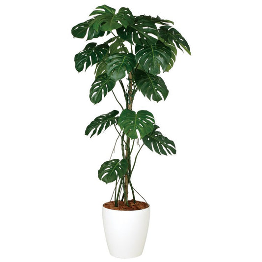 モンステラバイン W80×H180cm｜TK99124 アーティフィシャルグリーン 人工観葉植物 人工樹木 鉢付きグリーン