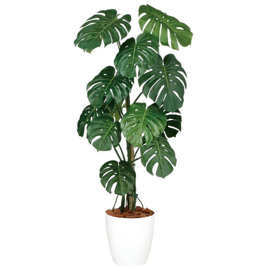 モンステラバイン W70×H150cm｜TK99127 アーティフィシャルグリーン 人工観葉植物 人工樹木 鉢付きグリーン