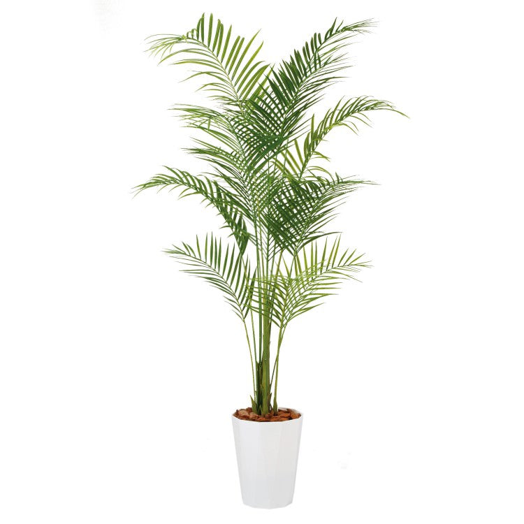 アレカヤシ PE W100×H200cm｜TK99153 アーティフィシャルグリーン 人工観葉植物 人工樹木 鉢付きグリーン