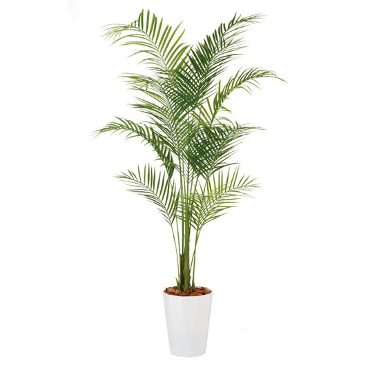 アレカヤシ PE W100×H200cm｜TK99153 アーティフィシャルグリーン 人工観葉植物 人工樹木 鉢付きグリーン